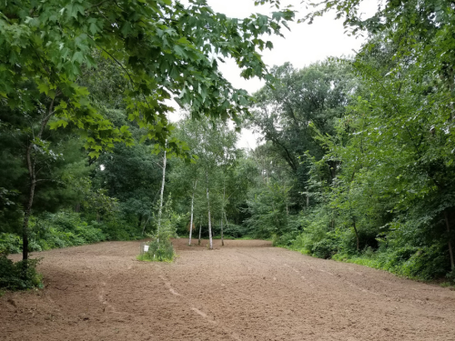  Forestry Mulching