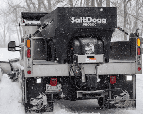 Stump Grinding/Removal in Chippewa Falls