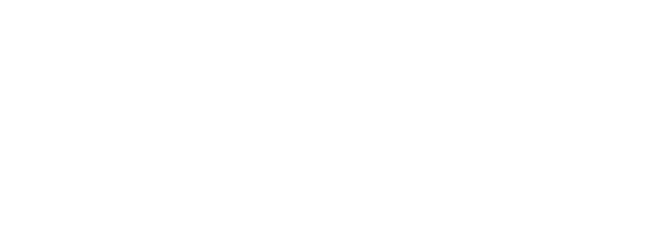 Nimbus Suspensions Logo