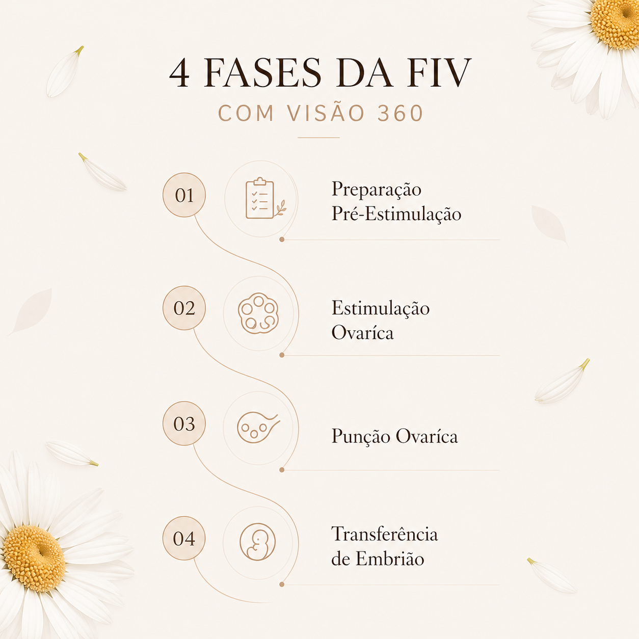 Infográfico das 4 Fases da FIV Paula Castro