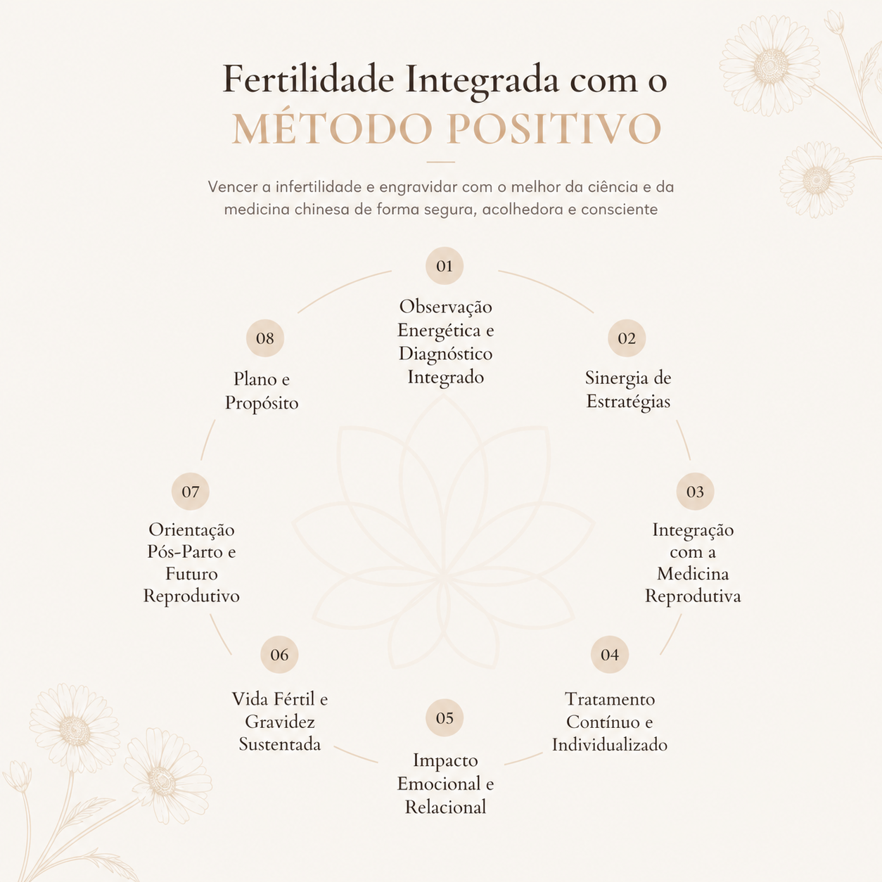 Infográfico sobre Fertilidade Paula Castro