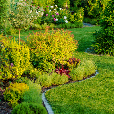 landscaping in Castle Rock, CO