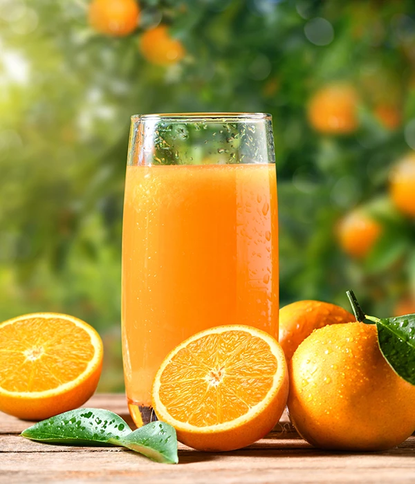 Coffee Tea Nail Salon Fullerton CA