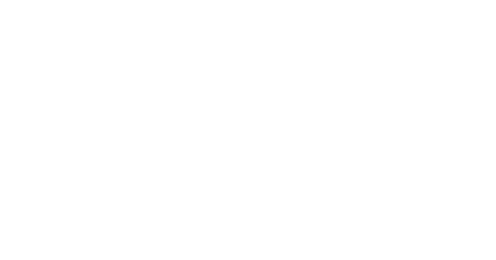 Shawn Johnson - Conversations That Bridge the Gap