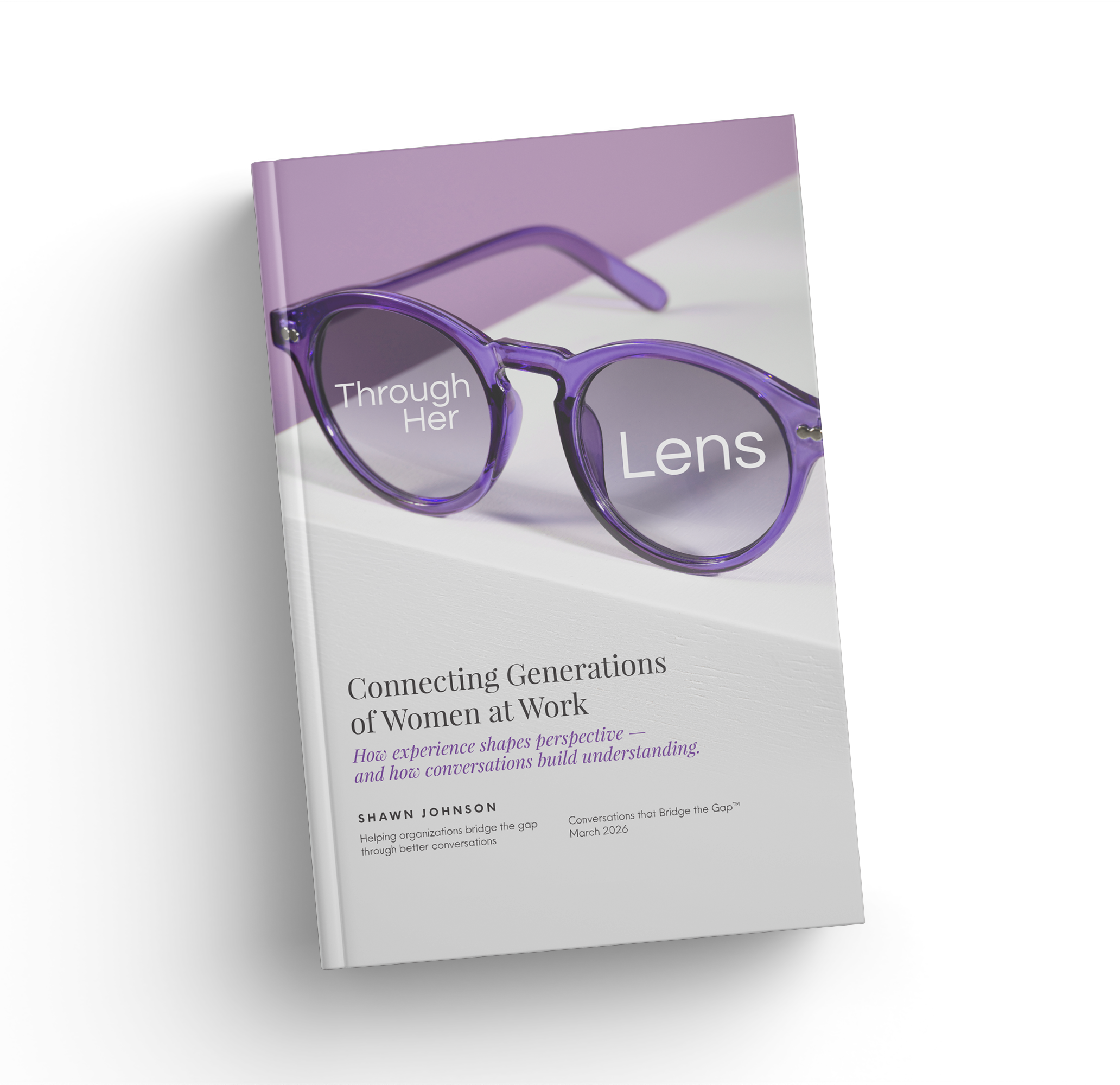 Connecting Generations of Women at Work - book cover