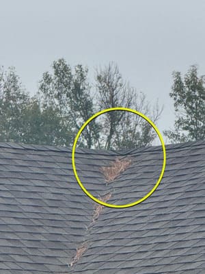 {{ custom_values.service_1 }} in {{custom_values.area_7})