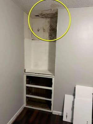 {{ custom_values.service_4 }} in {{custom_values.area_7})