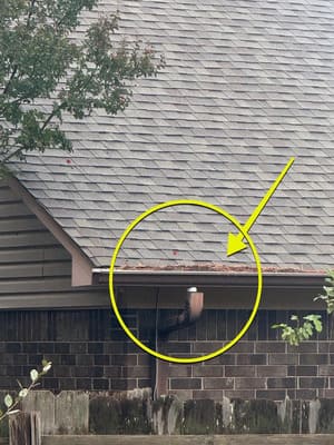 {{ custom_values.service_4 }} in {{custom_values.area_7})