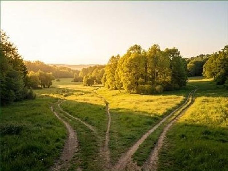 A spacious meadow or open valley at golden hour, with several subtle paths entering from different directions and continuing through one shared landscape.
