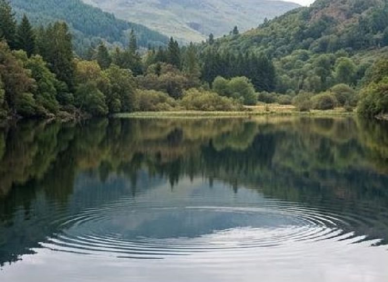 A wide woodland or mountain landscape reflected in a still lake.