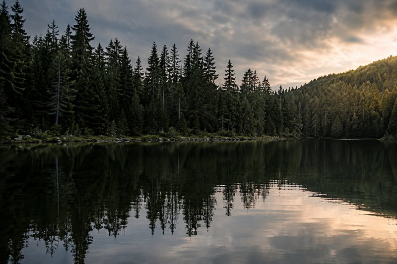 A calm lake reflecting a forest and cloudy sky, but a gentle breeze creates subtle ripples so portions of the reflection are clear while others are distorted. The actual trees along the shoreline remain sharp and grounded while their reflected forms shift and bend in the water. The image quietly evokes the distinction between what is present and how it is perceived.