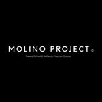 Molino Project