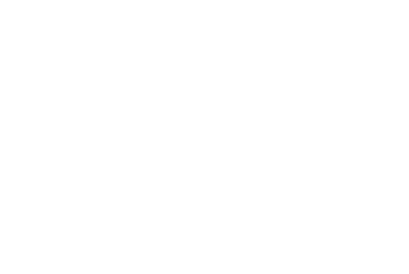 Systema Floyd