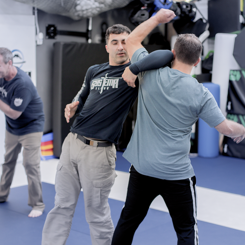 Alex teaching an adult student