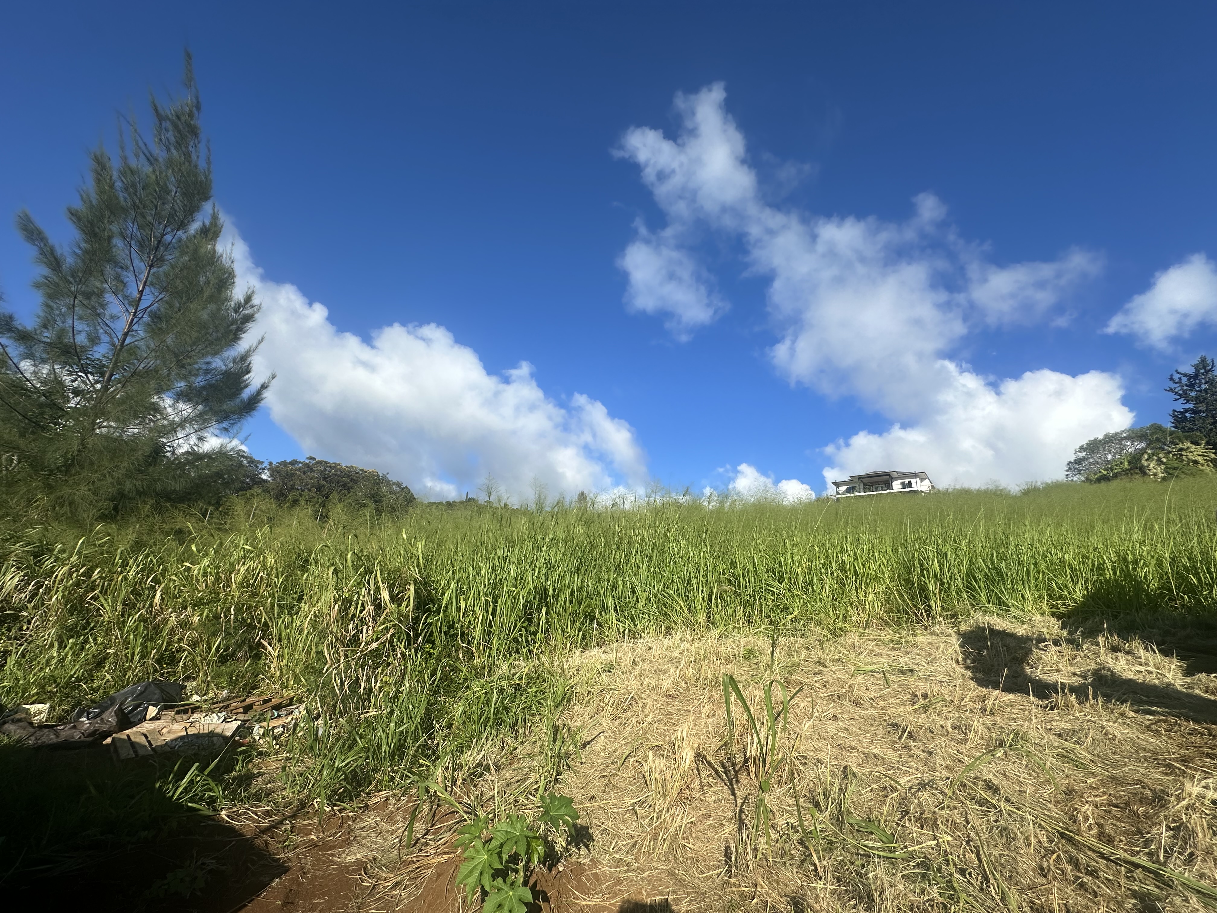 Kauai Land Clearing, Forestry Mulching & Excavation Services
