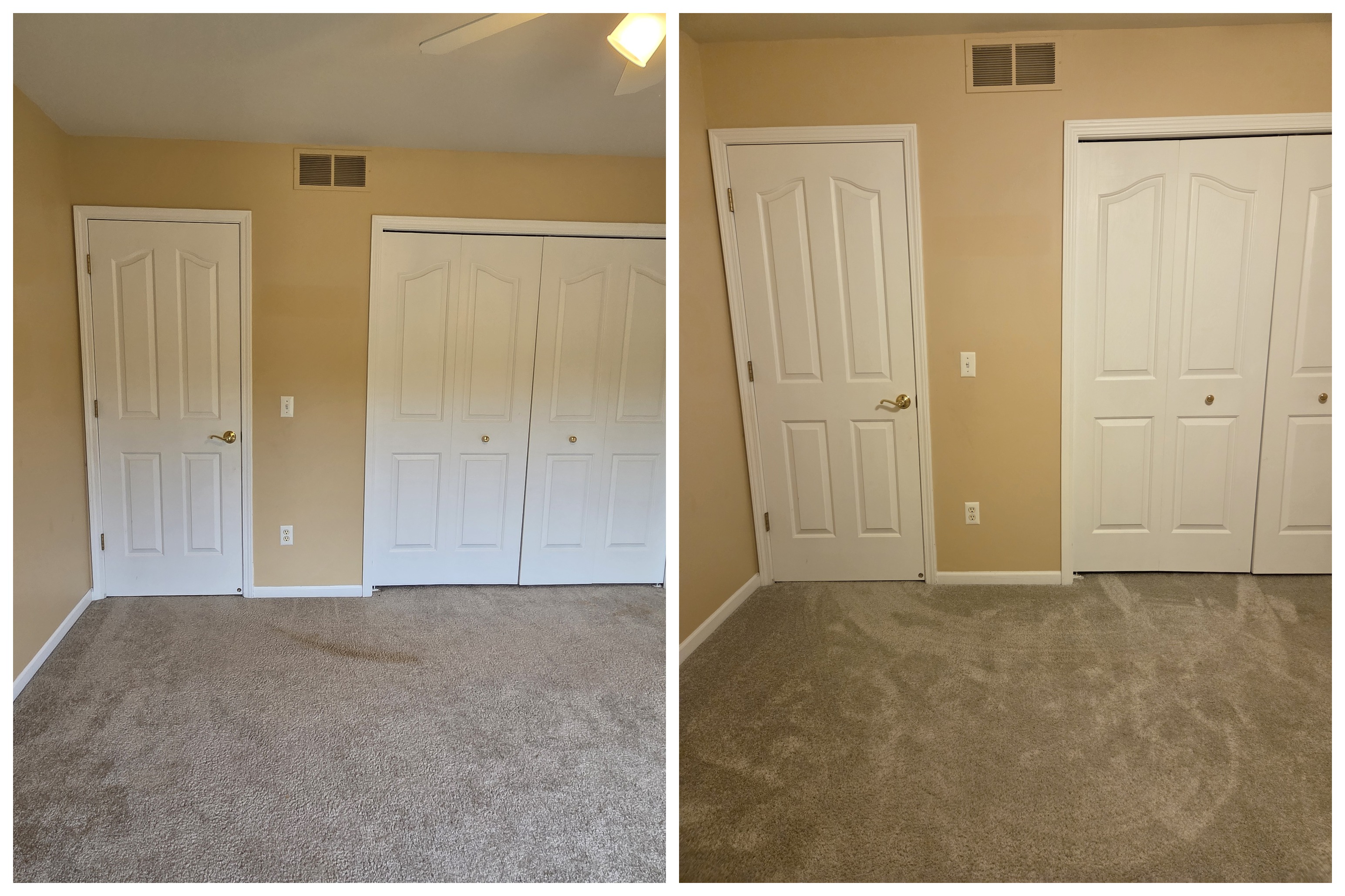 Before and after carpet cleaning in a front room, Ann Arbor area