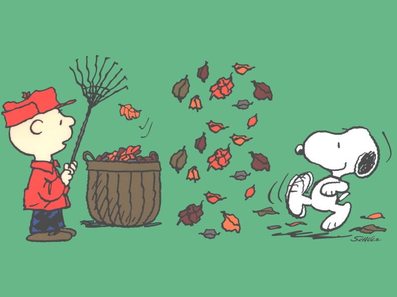WHEN CAN A LEAF HELP YOUR PERSONAL INJURY CASE?