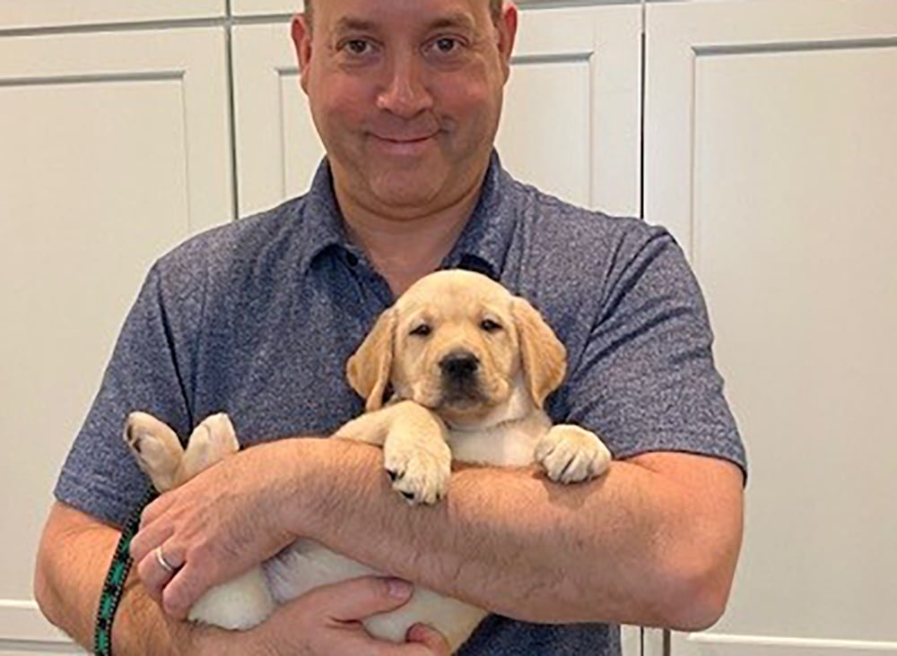 A New Addition to The Firm