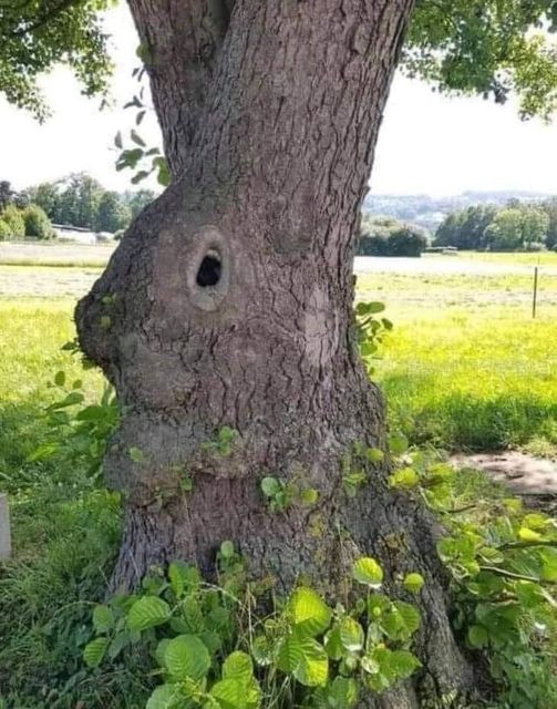 Springtime