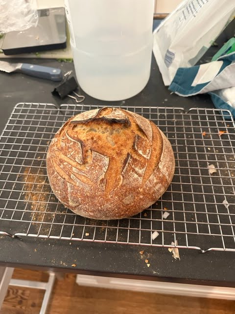 SOURDOUGH: DONE AND DUSTED
