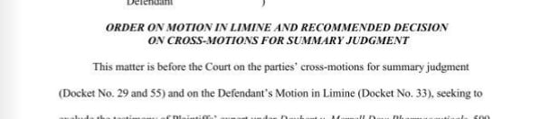 Motions In Limine
