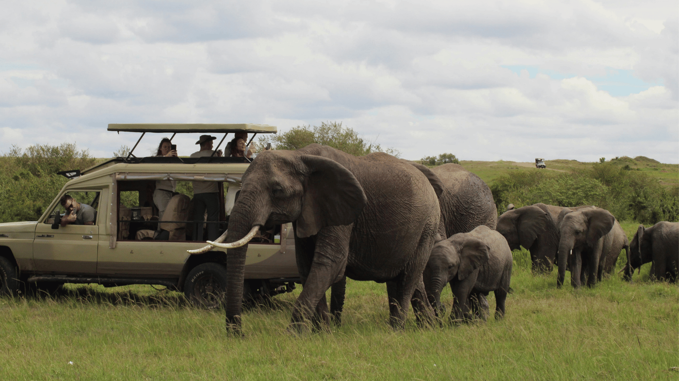 South Africa Trip