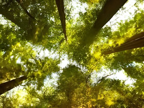 Awahnee, CA Deep Cleaning