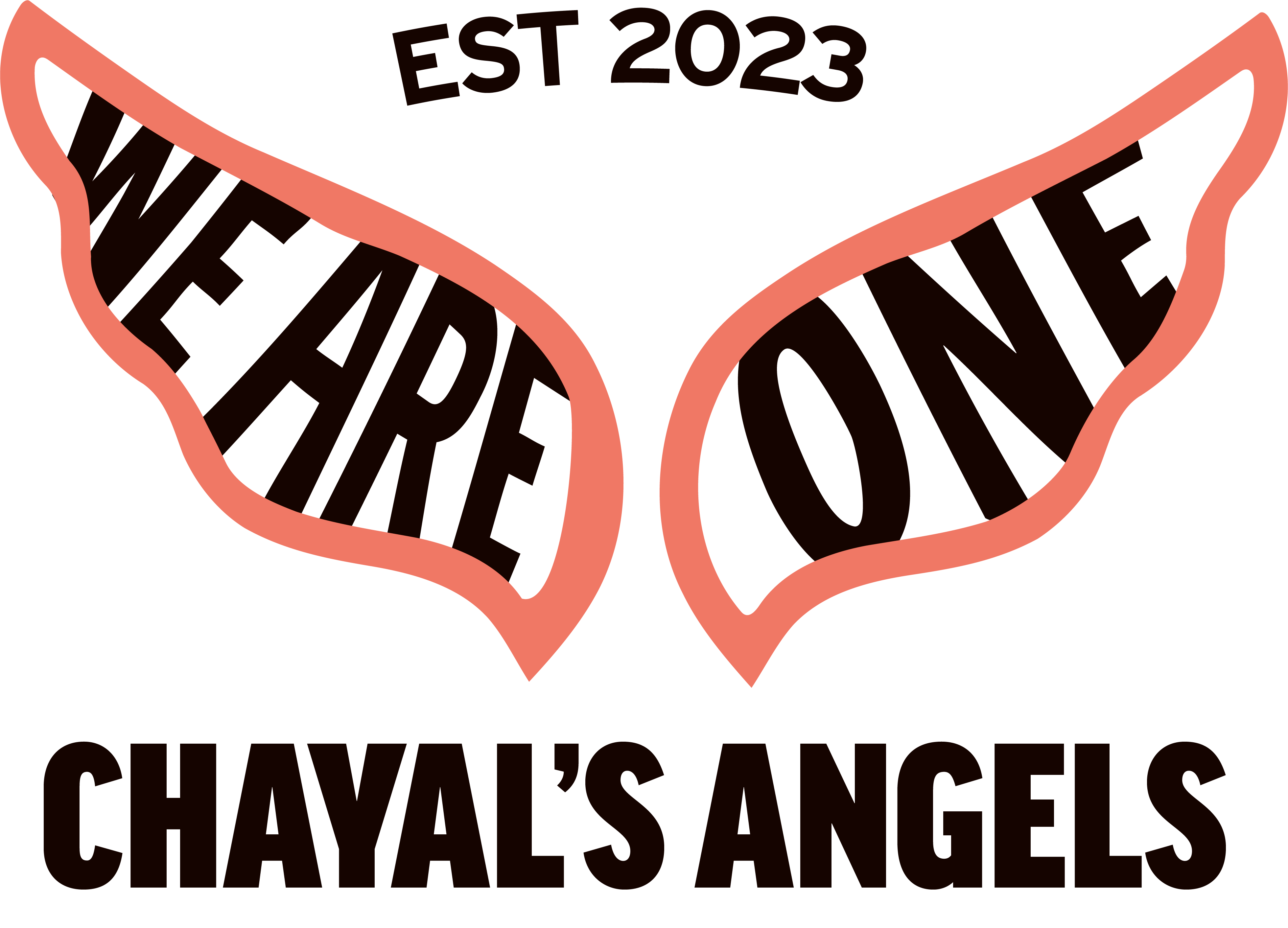 Chayal's Angels