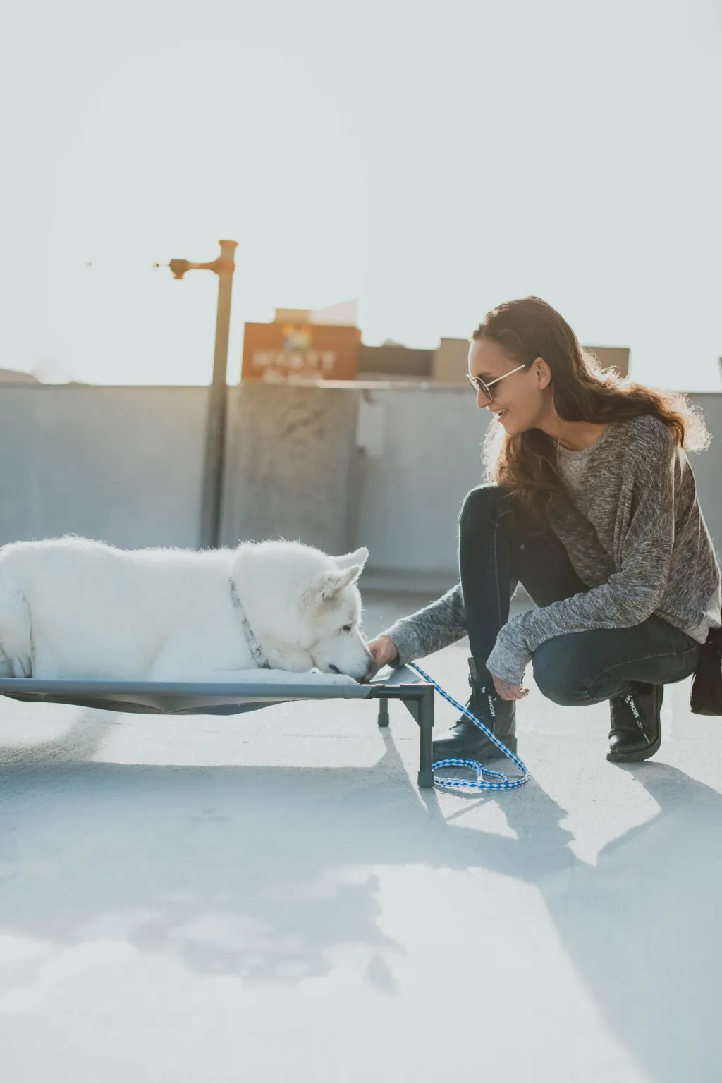 HellaK9s trainers at work