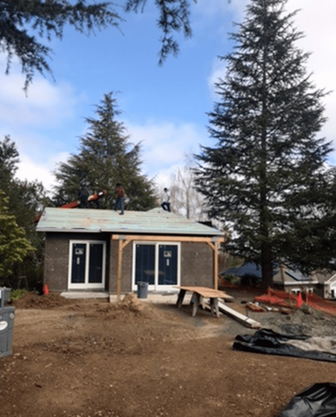 Metal Roofing 