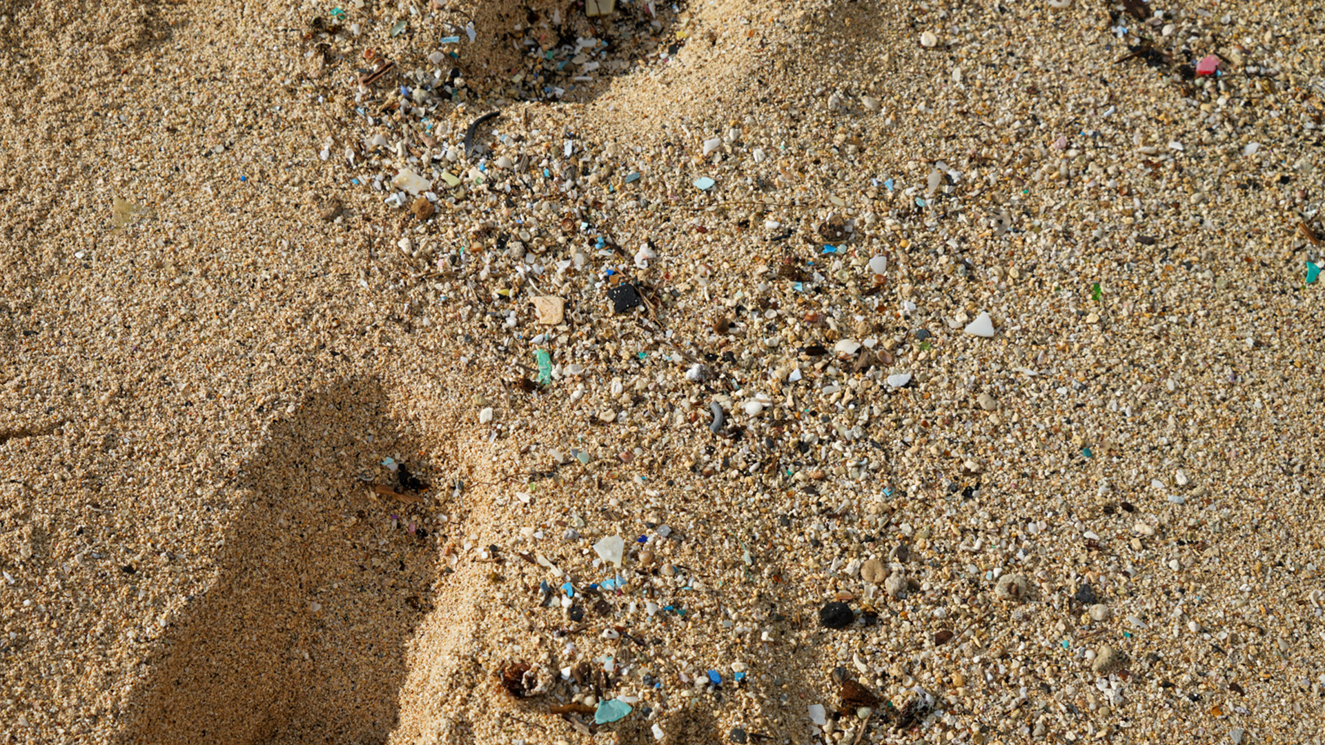 Plastic washed up on a beach on Oahu Hawaii