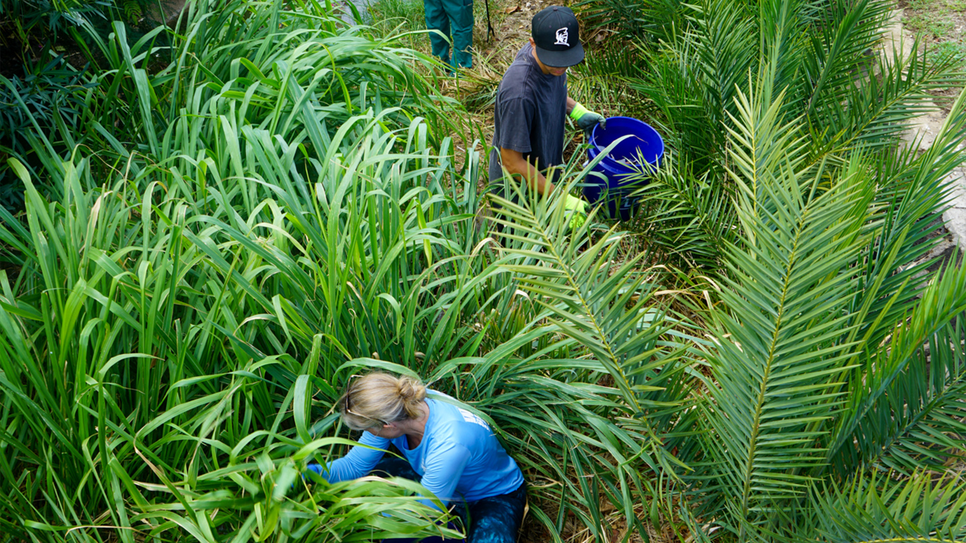 Community volunteers cleaning trash from a stream