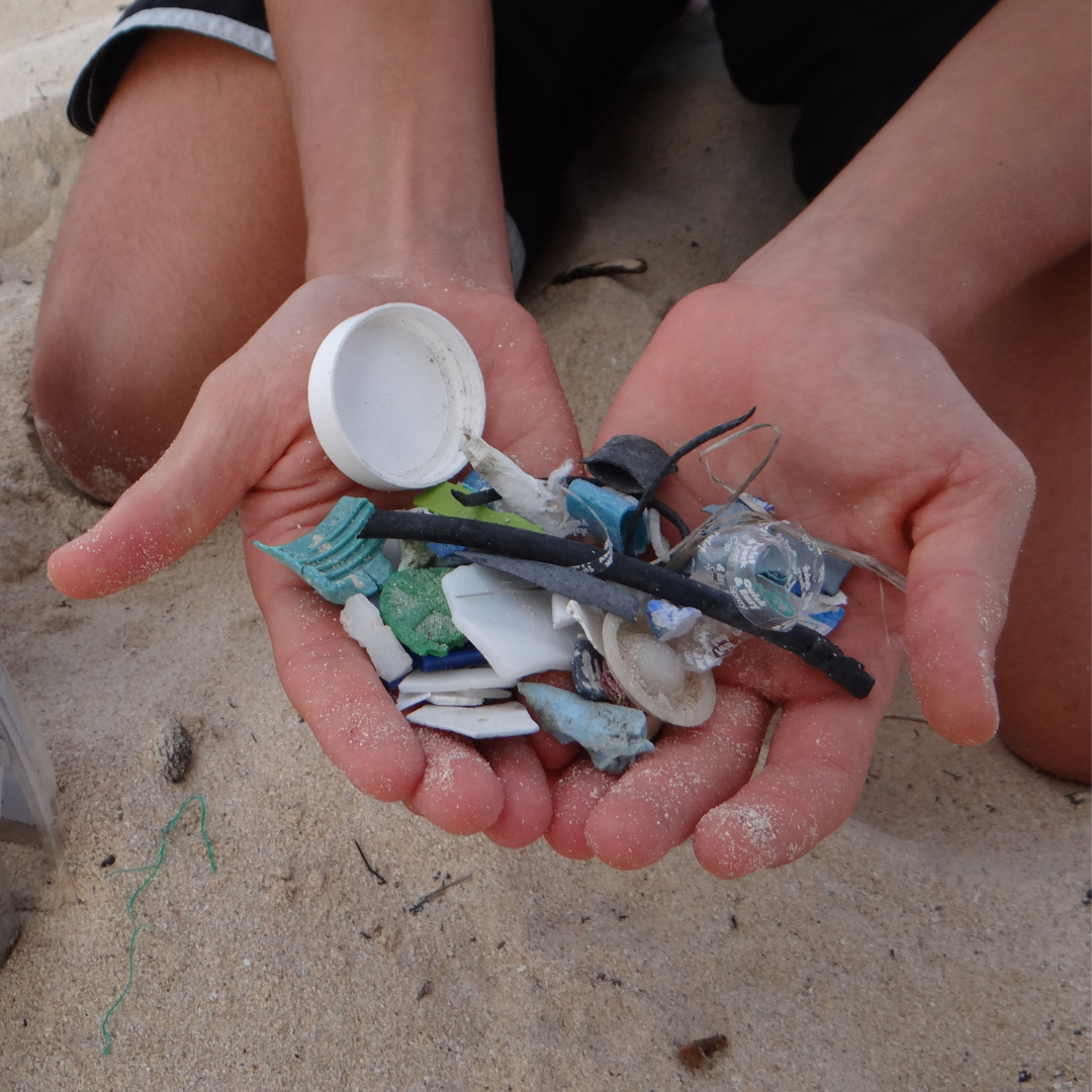 Our education team working with a group of students on Oahu, Hawaii