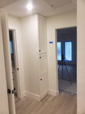 Insulation Removal in St Petersburg