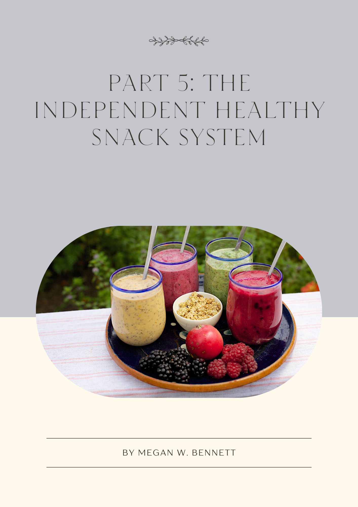 the-independent-healthy-snack-system