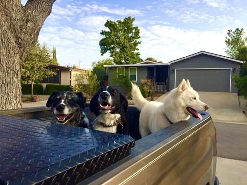 landscaping in paso robles