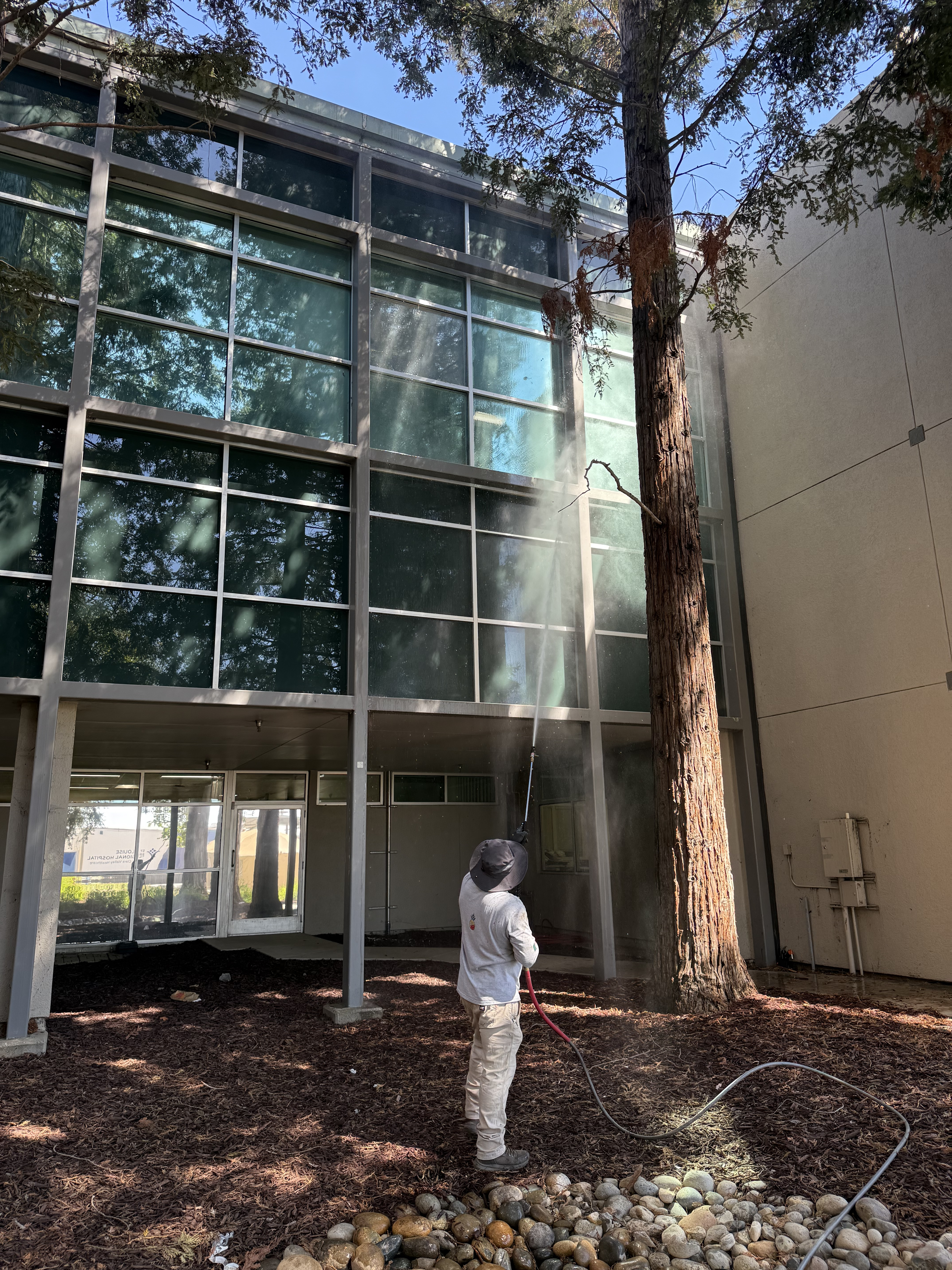 Willow Wash commercial pressure washing project photo 12