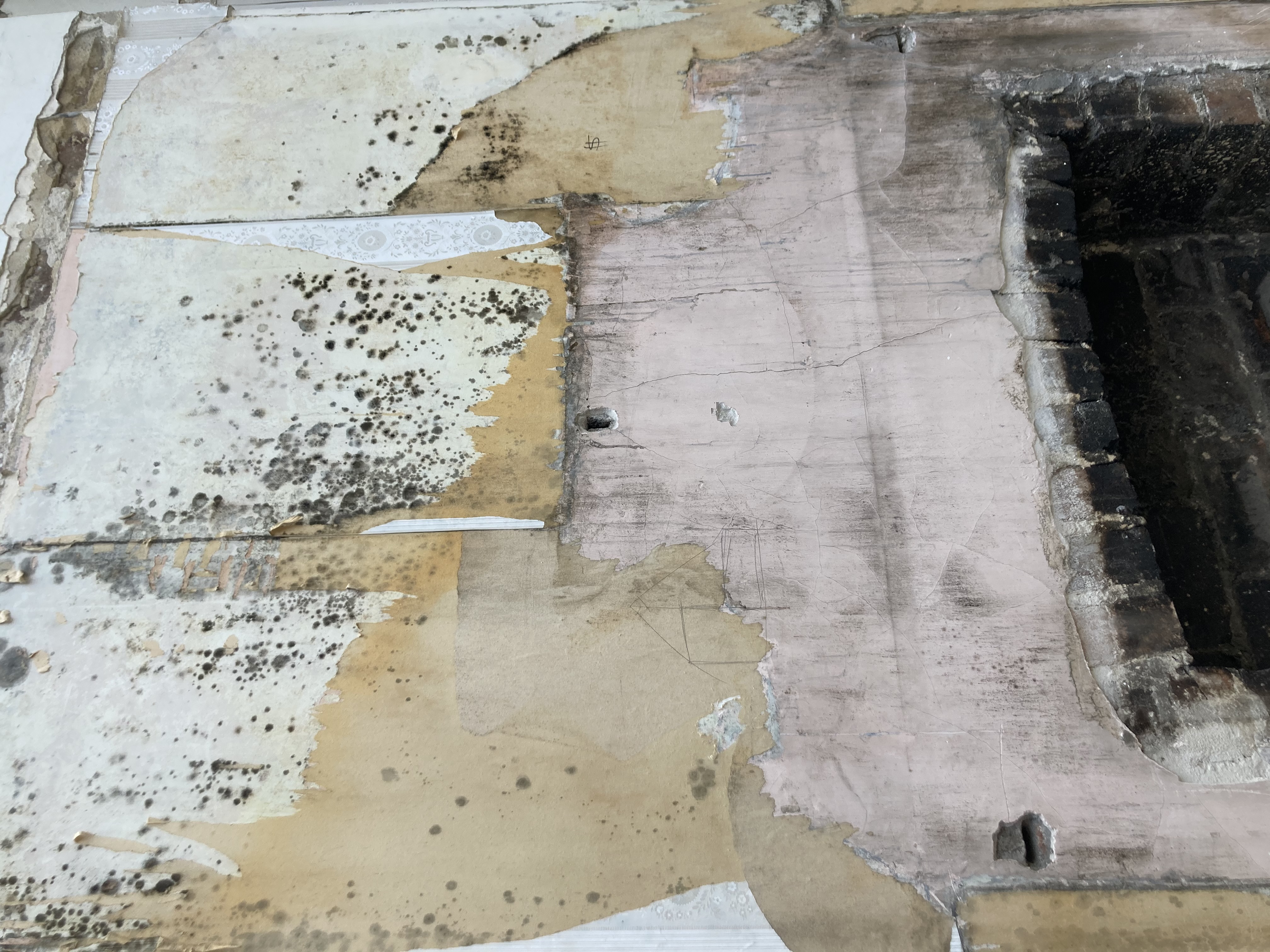 Mould hidden behind wallpaper, exposed above a fireplace.