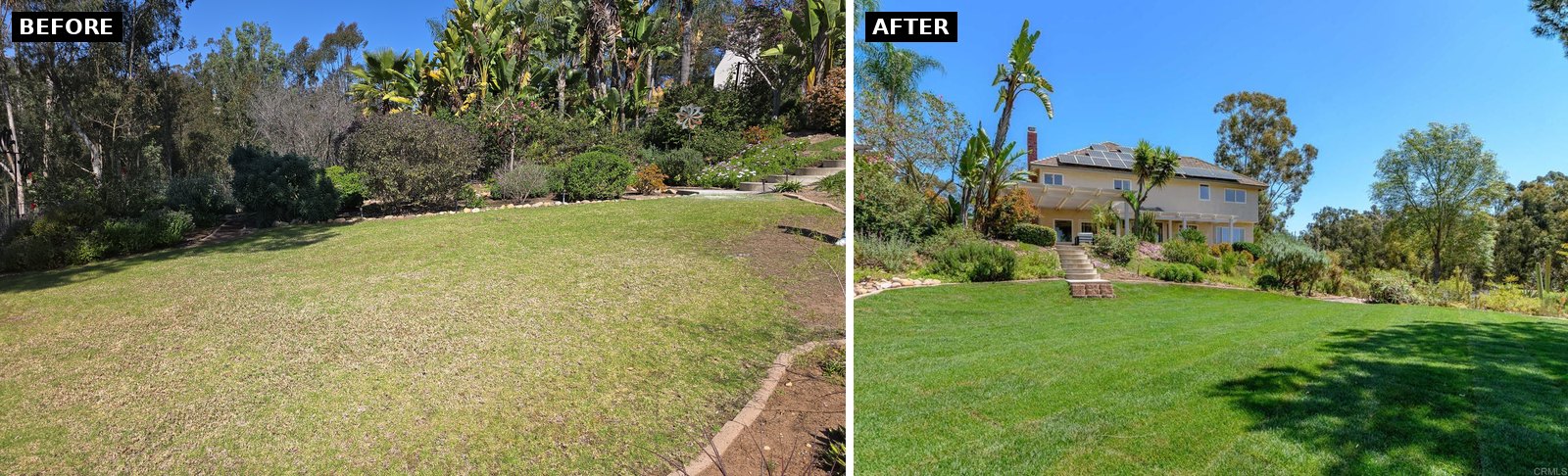 Scripps Ranch backyard before and after
