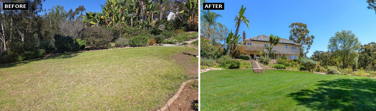 Scripps Ranch backyard before and after