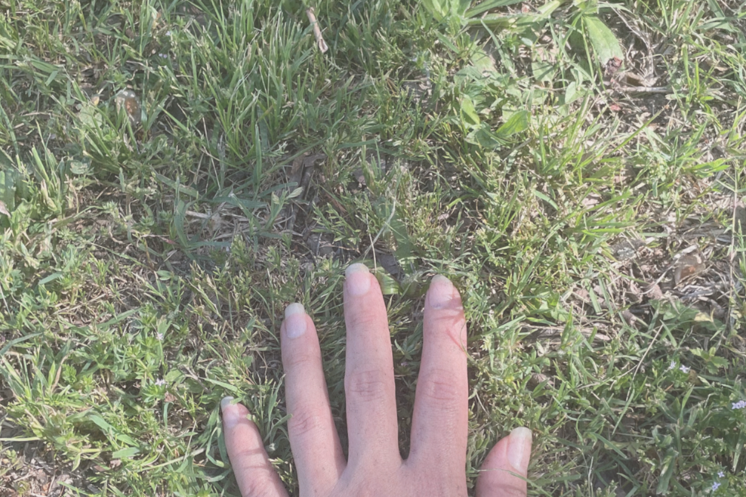 resting hand on earth for feminine radiance 