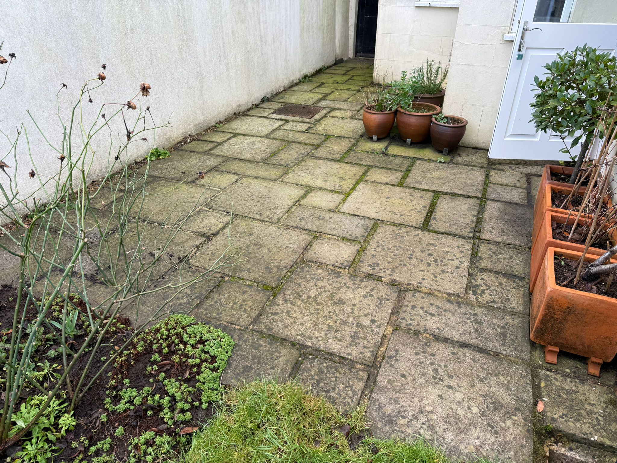 Before Patio Cleaning