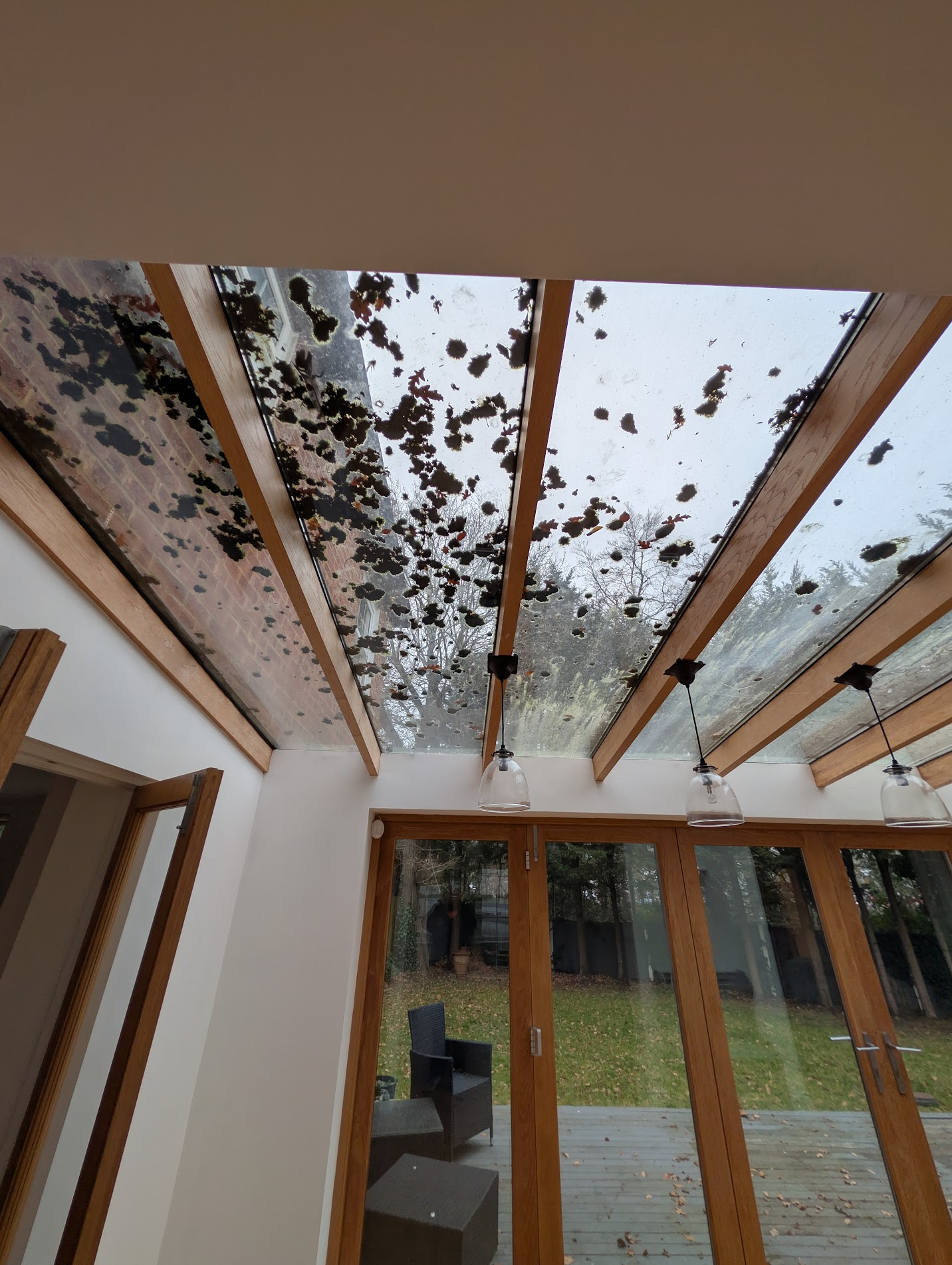 Dirty conservatory roof and glass before professional cleaning