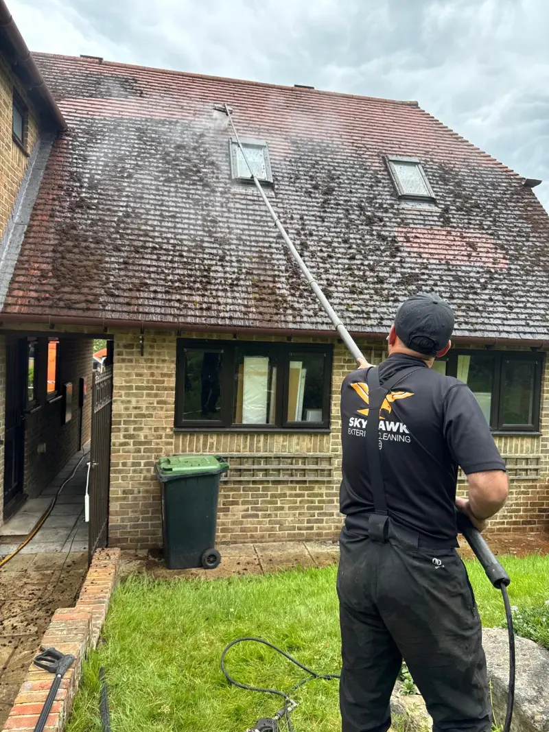 Low Pressure Roof Cleaning & Moss Removal