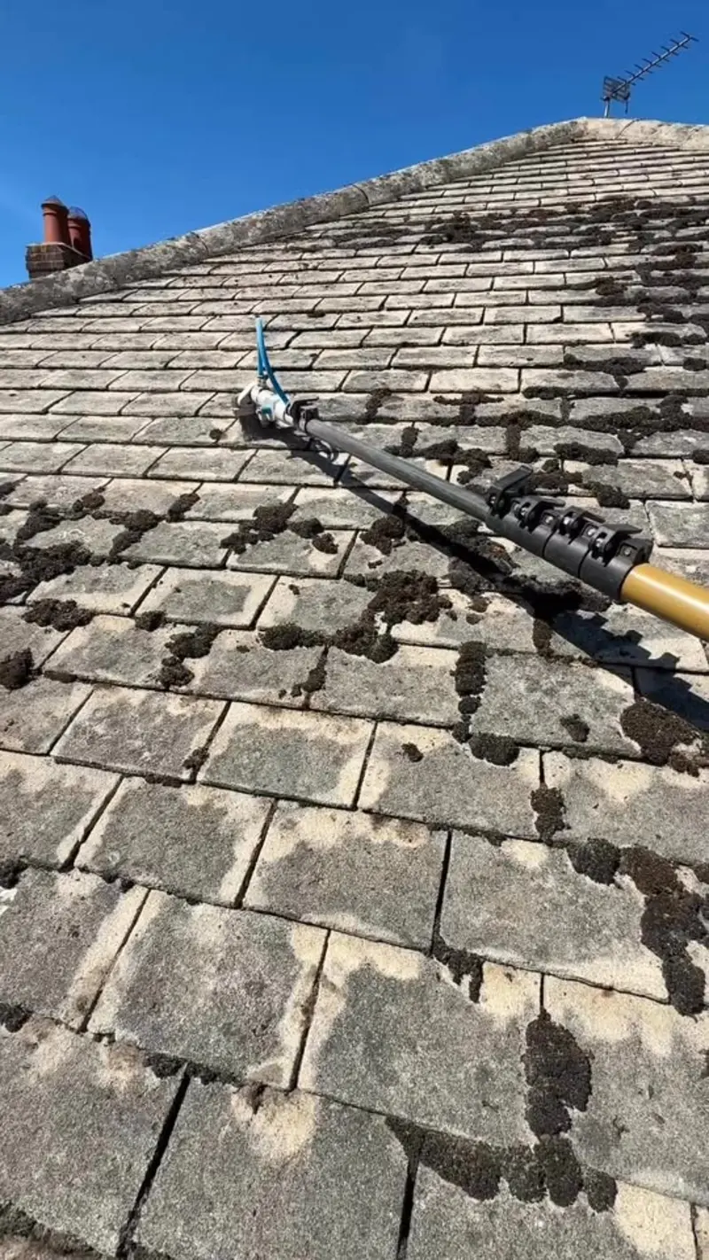 Waterless Roof Cleaning