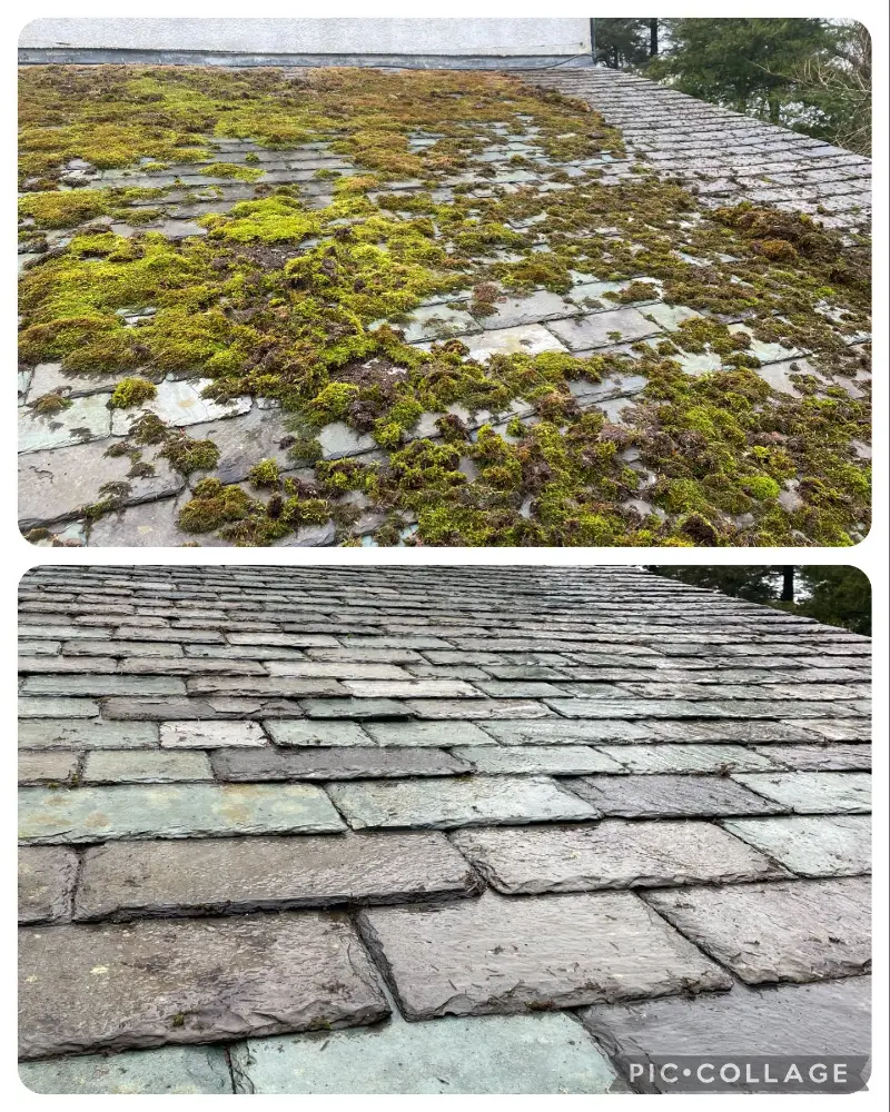Autumn leaves and moss debris cleared from a residential gutter by Skyhawk Exterior Cleaning