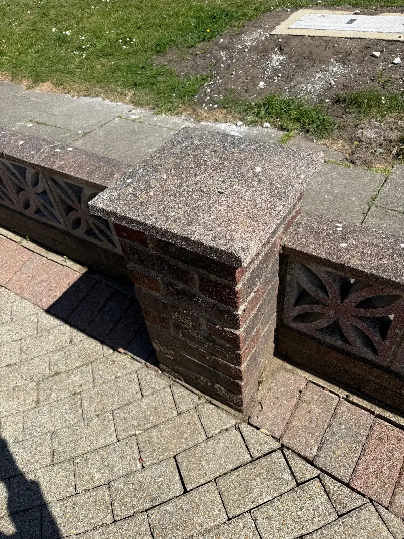 Coping stones with black spot and algae before cleaning