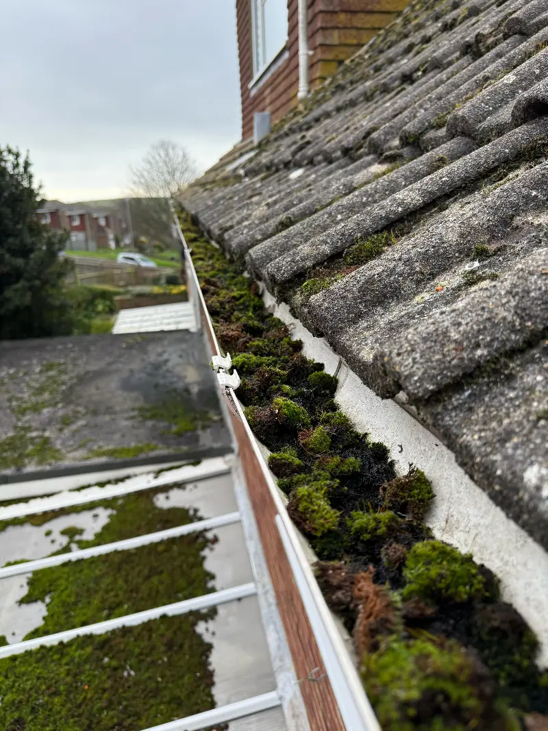 Roof Scraping Process