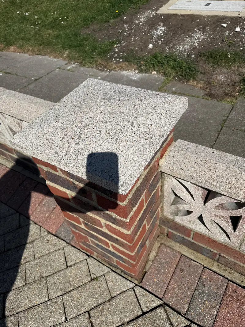Coping stones after specialist treatment with organic growth removed