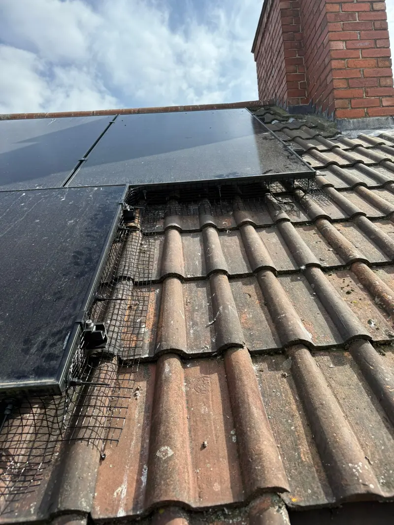 Solar Panel & Bird Proofing